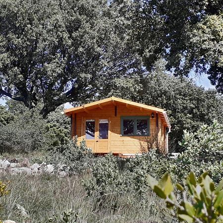 Le Chalet Saint-Jean-de-Minervois Ngoại thất bức ảnh
