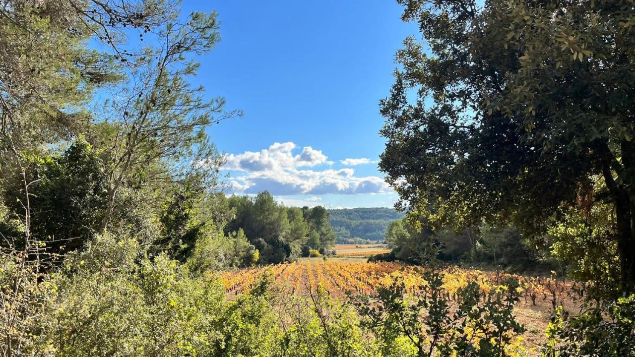 Le Chalet Saint-Jean-de-Minervois Ngoại thất bức ảnh