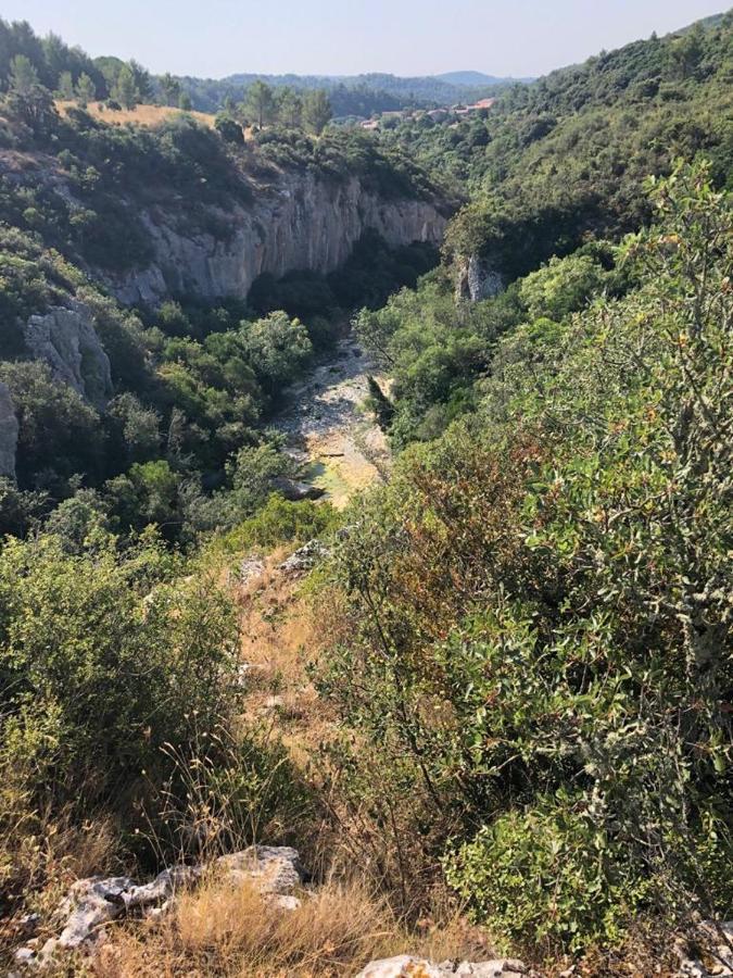 Le Chalet Saint-Jean-de-Minervois Ngoại thất bức ảnh
