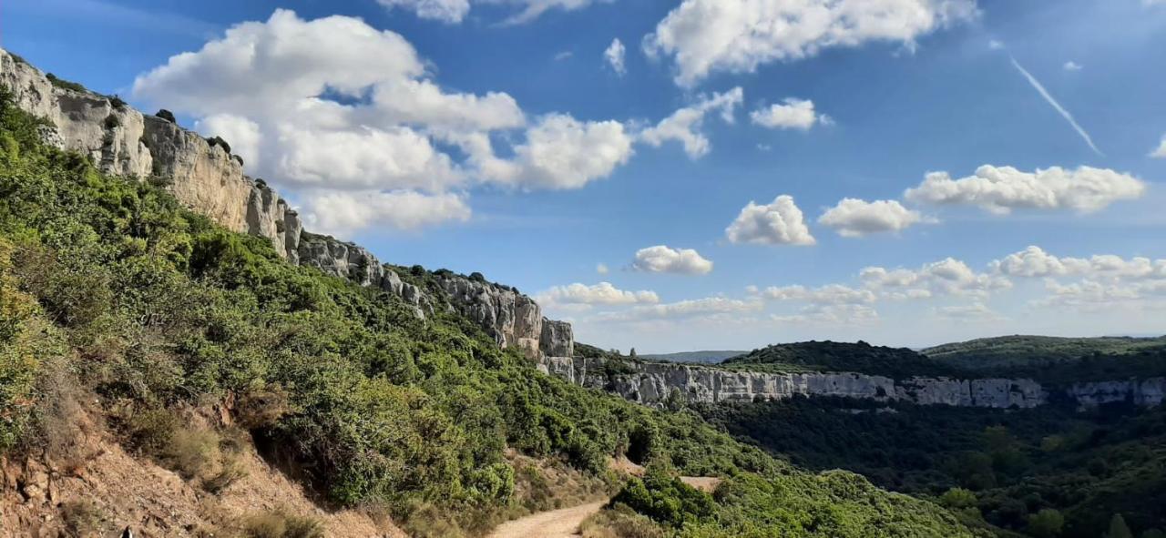 Le Chalet Saint-Jean-de-Minervois Ngoại thất bức ảnh